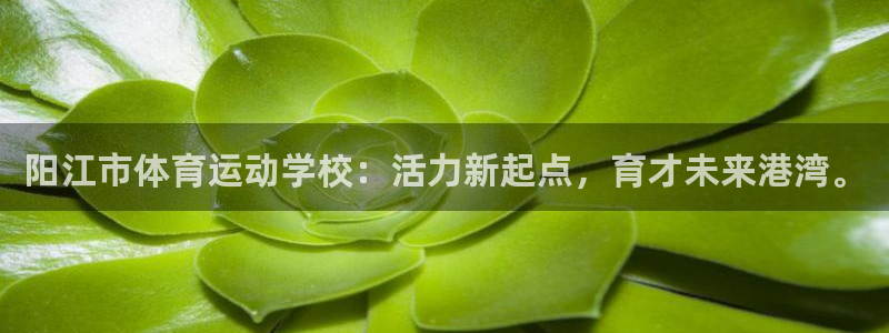 oety欧亿体育官网下载招商电话号码查询:阳江市体育运动学校