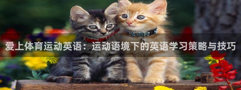 oety欧亿体育官网下载招商电话地址是多少:爱上体育运动英语