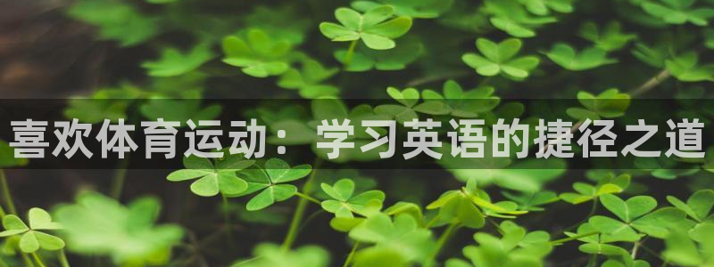 oety欧亿体育官网下载是干嘛的公司:喜欢体育运动:学习英语